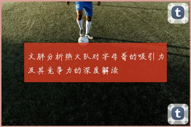 文胖分析热火队对字母哥的吸引力及其竞争力的深度解读