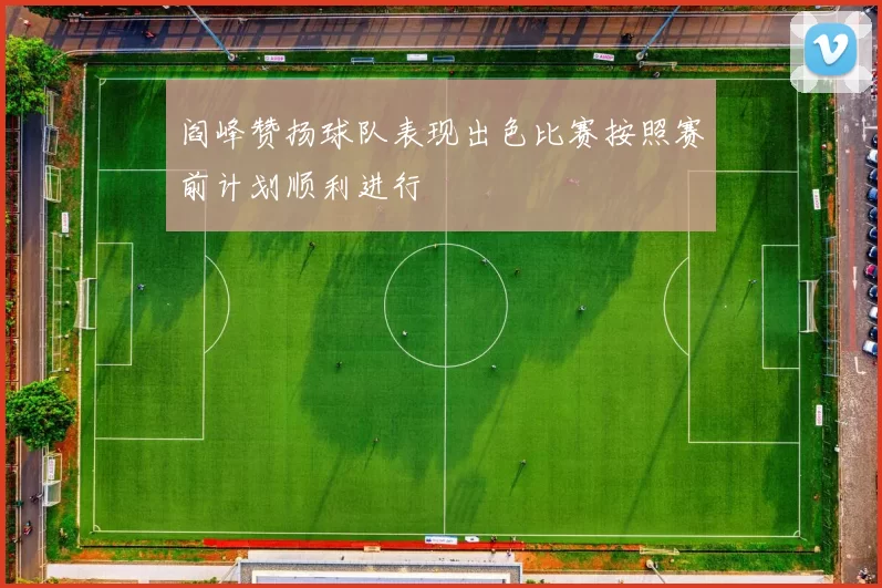 阎峰赞扬球队表现出色比赛按照赛前计划顺利进行